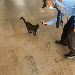 Meet your Posher, Abby